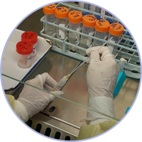 251126-Diagnostic Accuracy STANDARD F TB-Feron